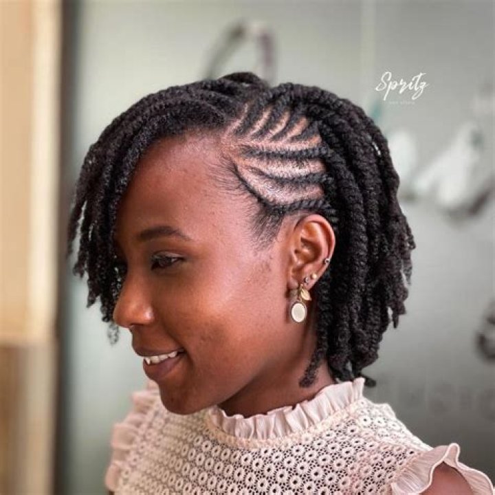 2 Strand Twist Styles for Natural Hair: A Comprehensive Guide