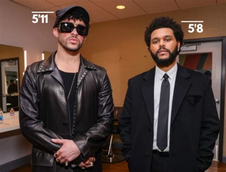 Unveiling Bad Bunny's Height: The Puerto Rican Star's Physical Presence