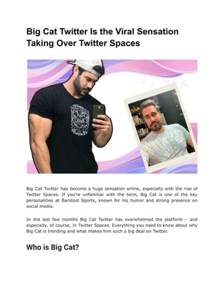 Big Cat Twitter: Exploring the Viral Trend and Its Impact on Social Media