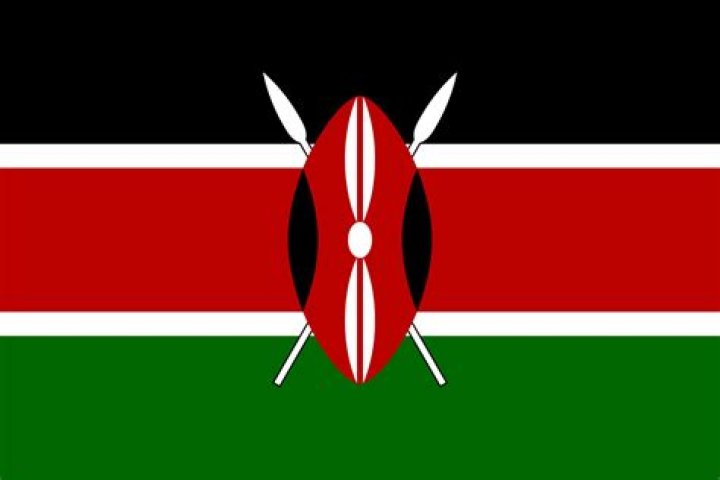 Understanding the Significance of the Black, Red, Green, and White Flag