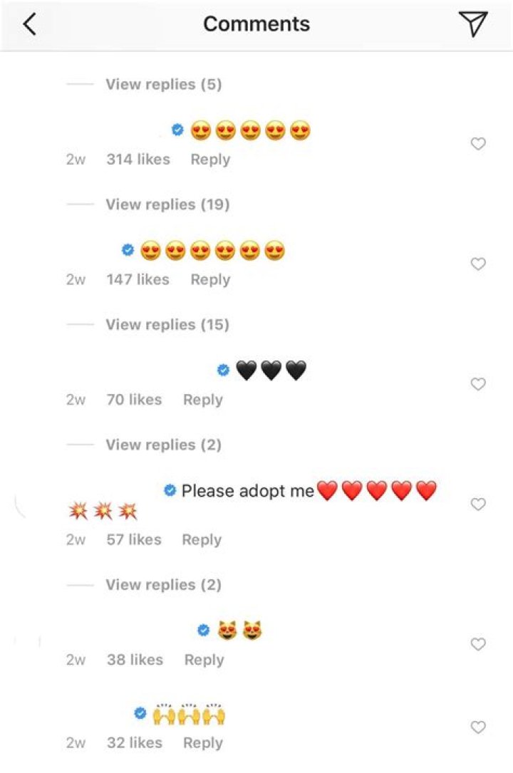 Understanding Comments on Instagram: A Comprehensive Guide