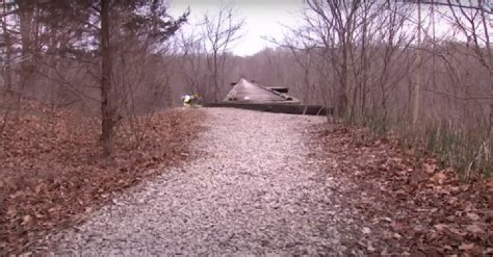 Unraveling the Mystery: Delphi Murders Cause of Death Leaked