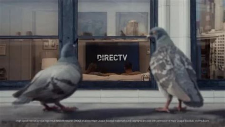 Direct TV Ad with Pigeons: A Unique Marketing Strategy