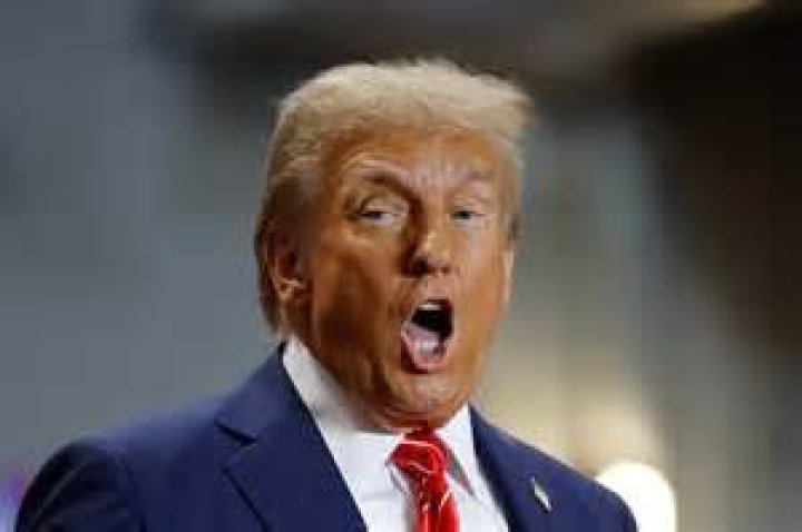 Unpacking the Intelligence of Donald Trump: What is His IQ?