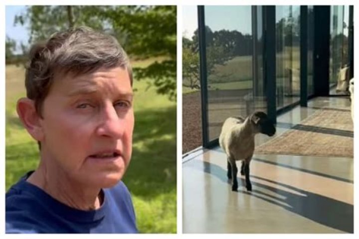 Ellen and Portia: Love, Life, and Latest News