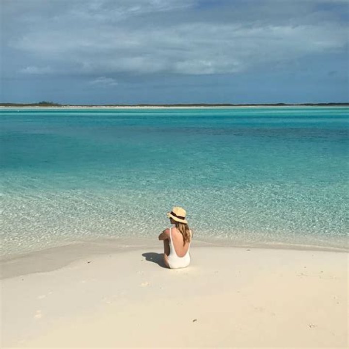 Unveiling the Allure: Emily Wickersham in the Nude