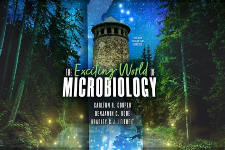 Exploring the Exciting World of Games Related to IMVU