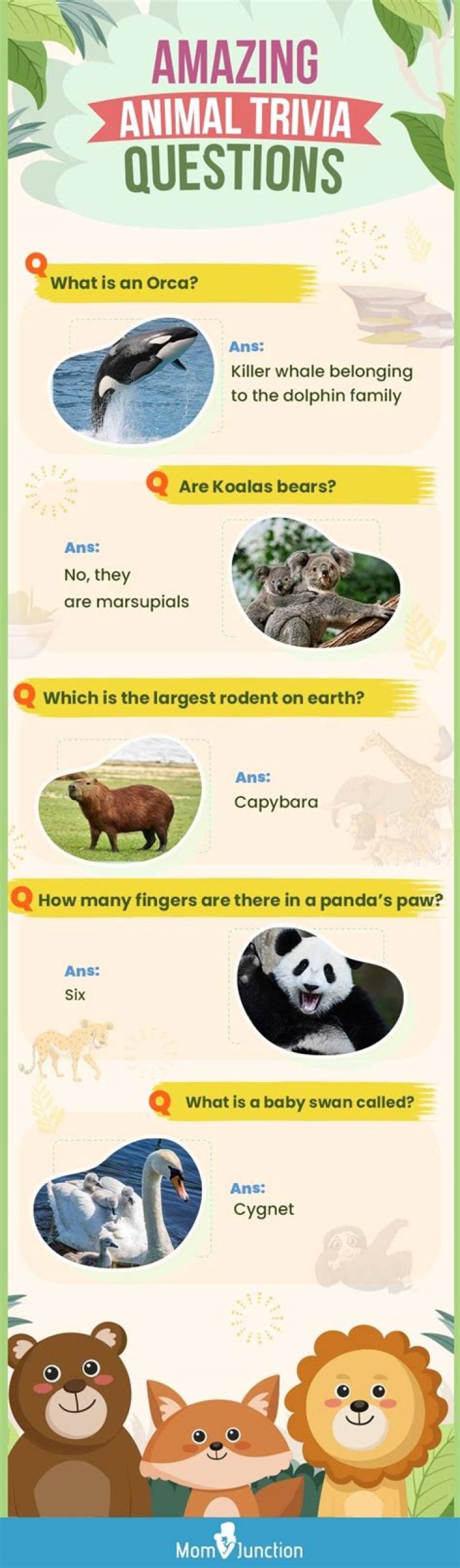 Fascinating Animal Trivia Questions and Answers for All Ages