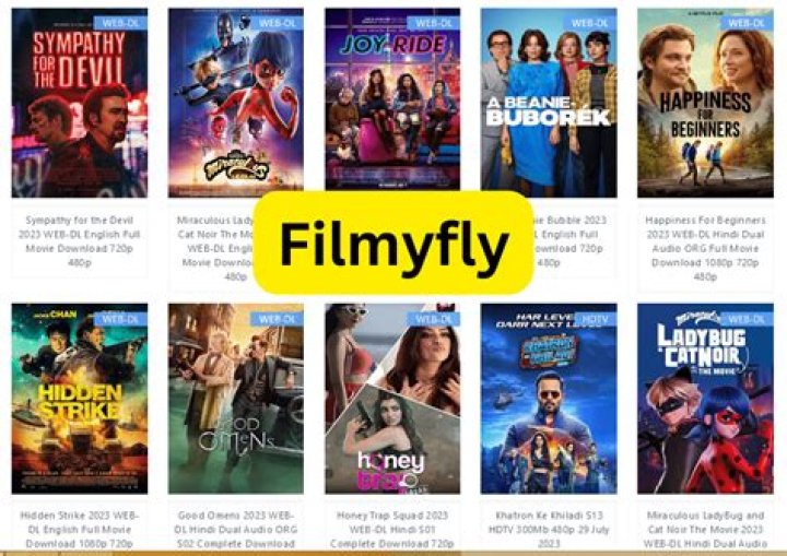 Why FilmyFly In Download is a Must for Movie Lovers