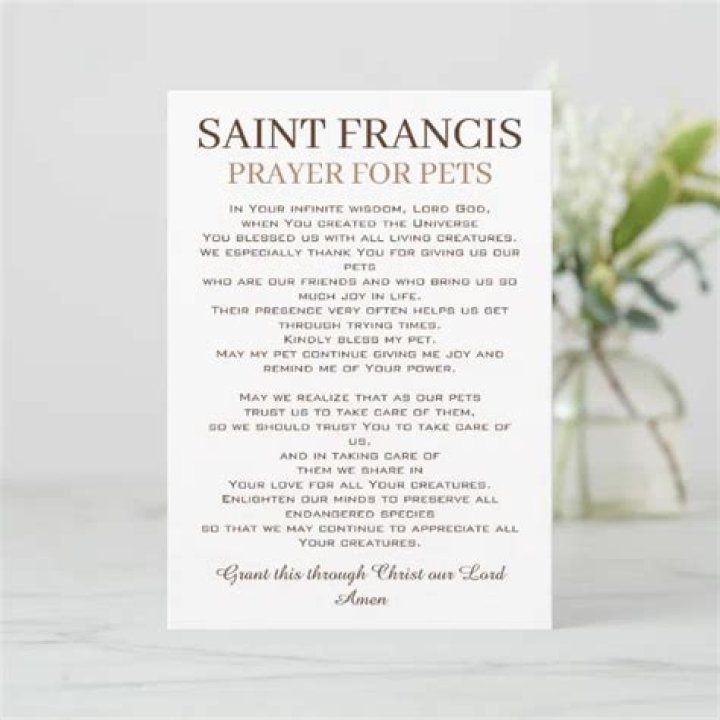 Finding Comfort: The St. Francis Prayer for Deceased Pets