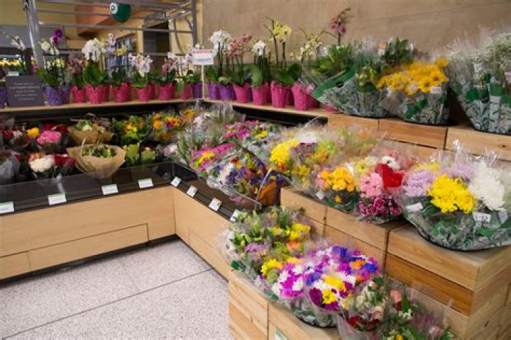 Flowers Publix: Your Ultimate Guide to Floral Arrangements and Services