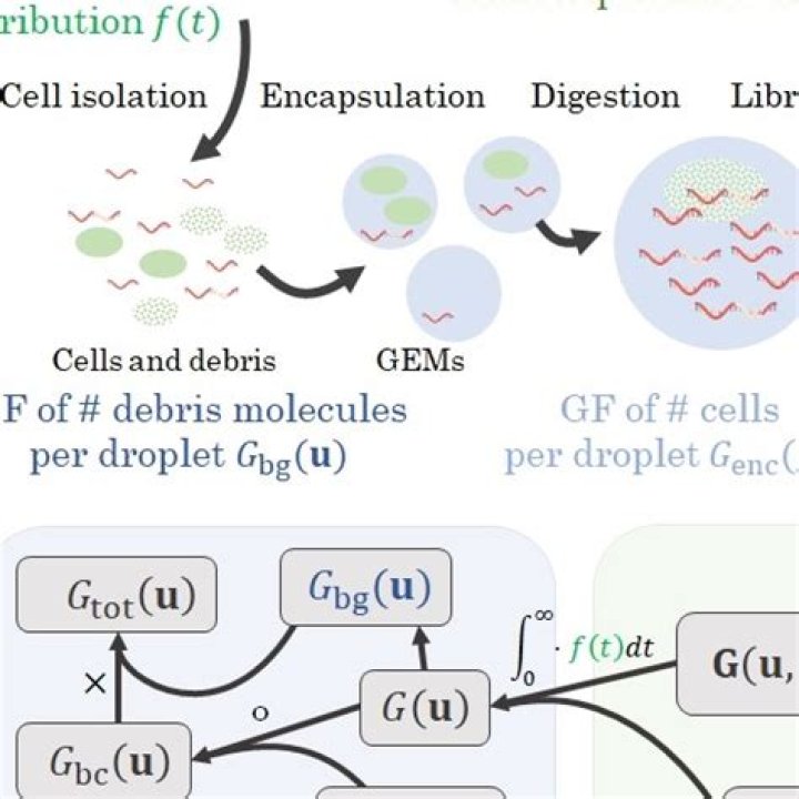 Gennady G: Latest News & Updates