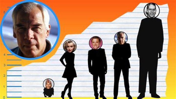 Unraveling the Mystery of Lee Marvin's Height