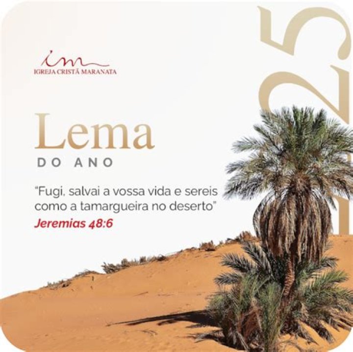 Lema Pail: A Comprehensive Guide to Understanding Its Impact, Uses, and Benefits