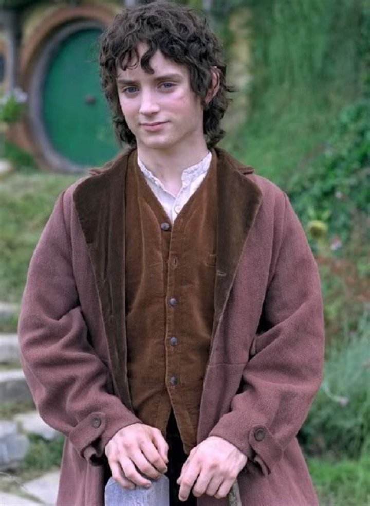The Lord of the Rings: Frodo Actor - Who Played Him?