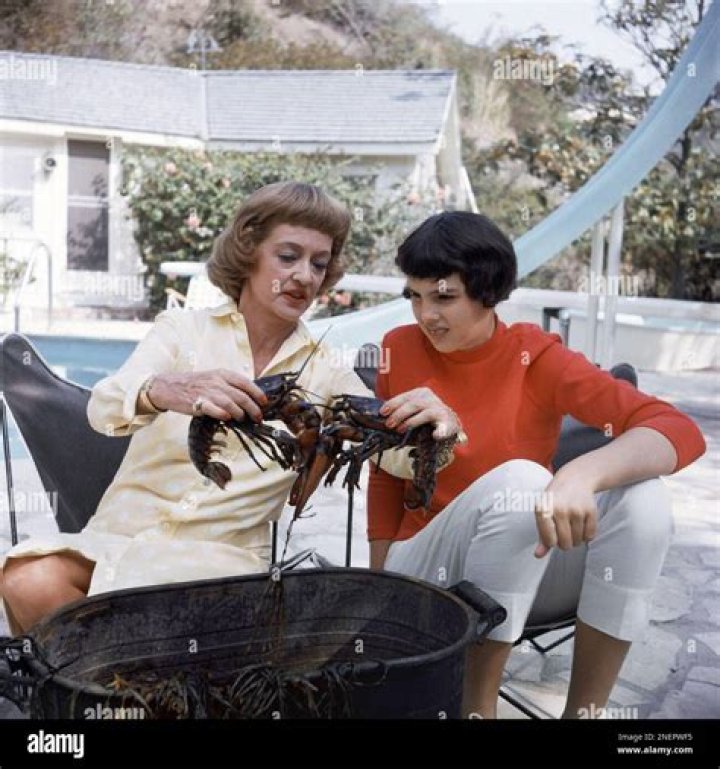 Margot Merrill: Unveiling the Rising Star of Hollywood