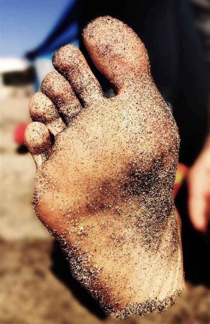 Exploring Melanie Minichino Feet: A Comprehensive Guide