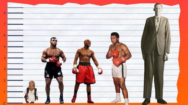 Unveiling the Phenomenon: Mike Tyson Measurements and More