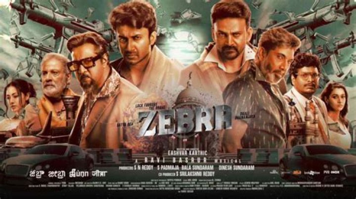 MovieRulz Zebra Kannada Movie: Your Ultimate Guide to Streaming and Downloading