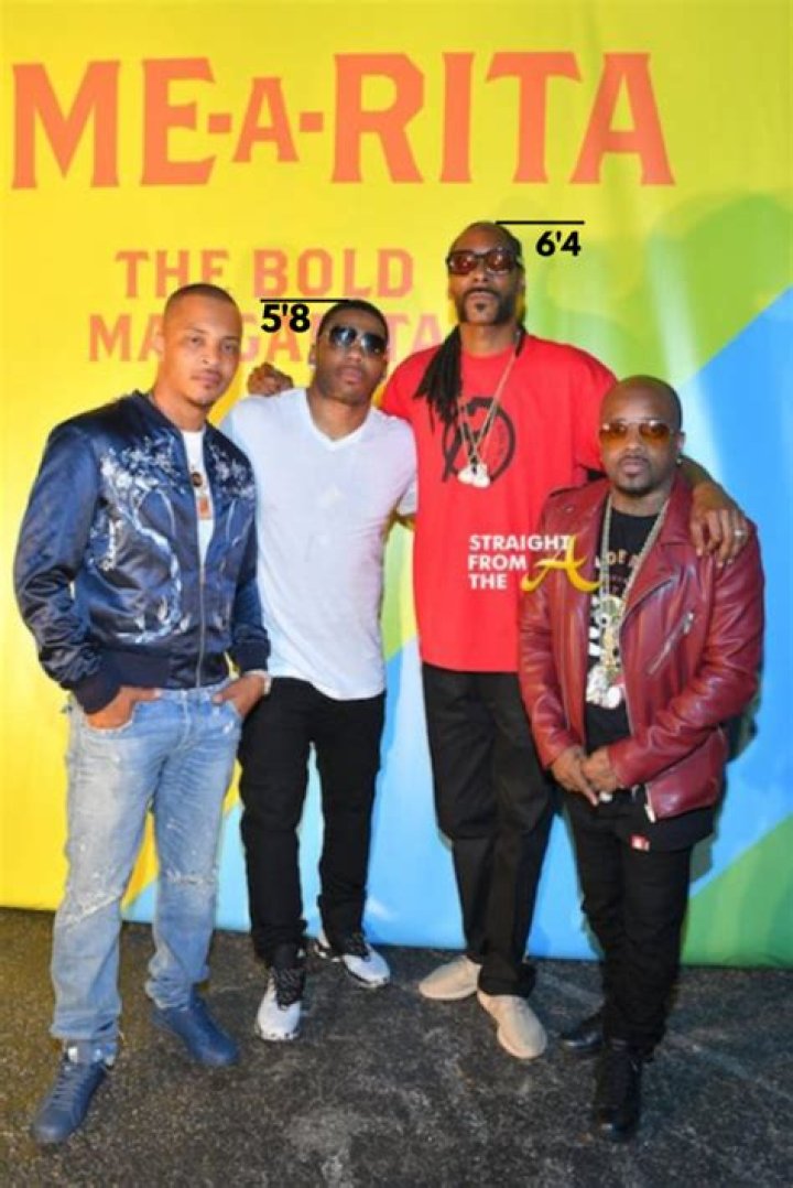 How Tall is Nelly? Height Revealed!