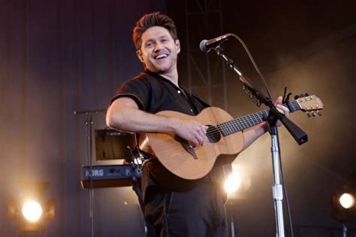 Niall Horan's Better Half: Who is the Mystery Behind the Music?