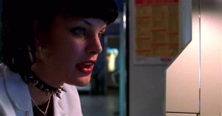 Pauley Perrette: The Star of NCIS & More
