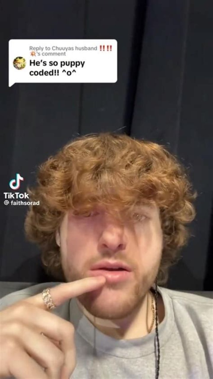 Puppy Coded: Your Ultimate Guide to Understanding and Mastering the Concept