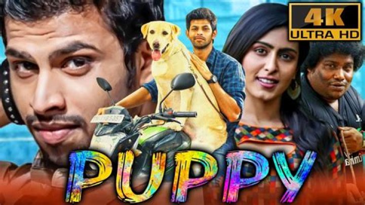 Puppy Kannada Movie Download Movierulz: A Comprehensive Guide