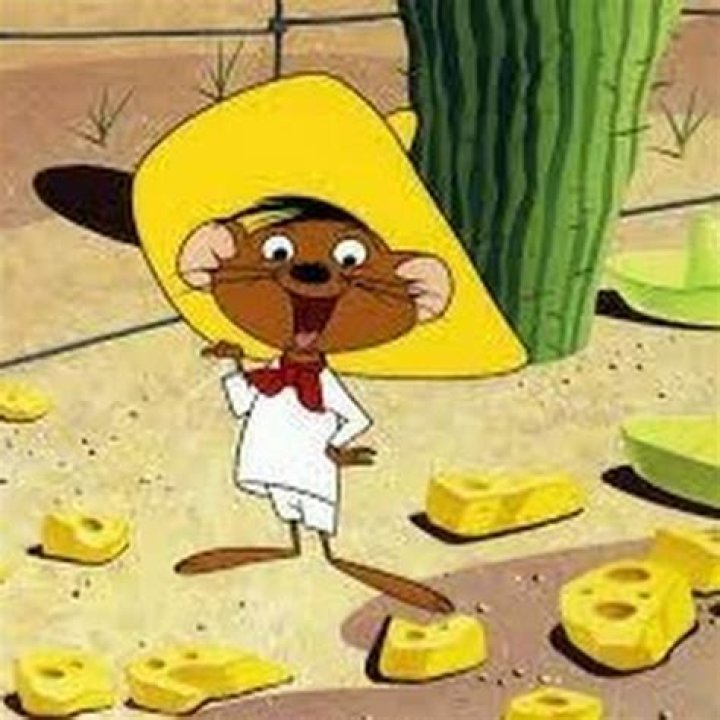 Exploring the Richness of Rata Mexicana: A Comprehensive Guide