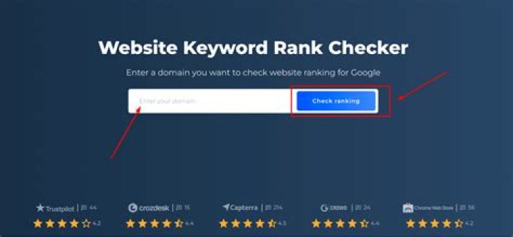 Boost Your SEO Strategy with the Best SEO Rank Checker API