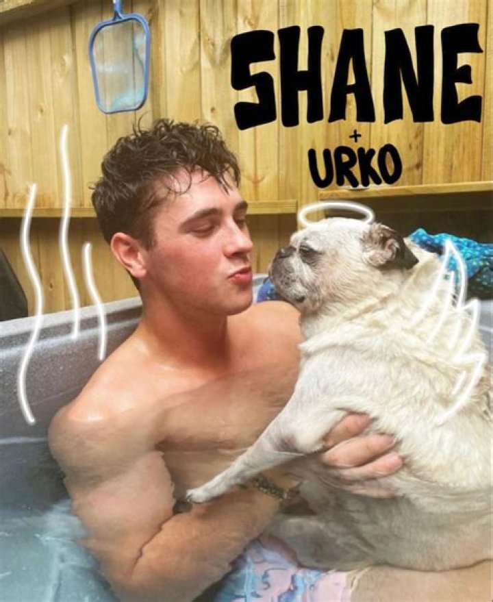 Shane Pinto Shirtless: A Comprehensive Exploration