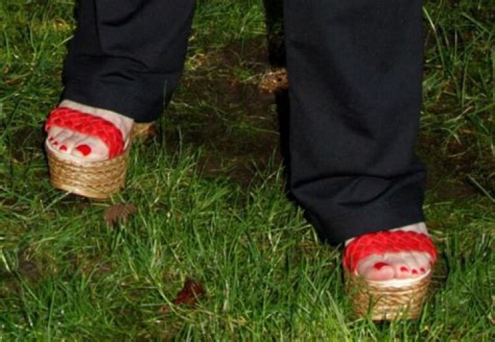 Show Me Pictures of Stevie Nicks: A Journey Through Her Iconic Style and Career