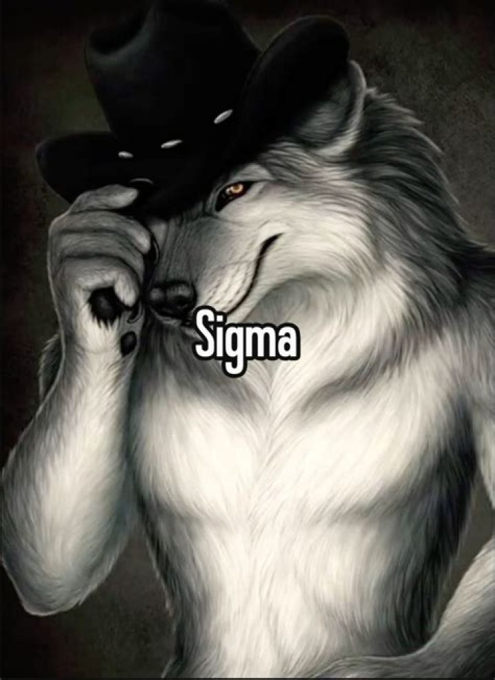 Sigma Wolf Memes: The New Trend in Internet Humor