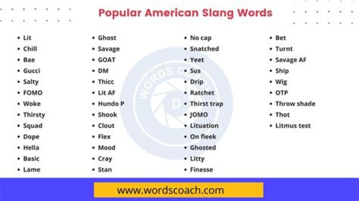 Exploring the Vibrant World of Slang Words Starting with 'S'