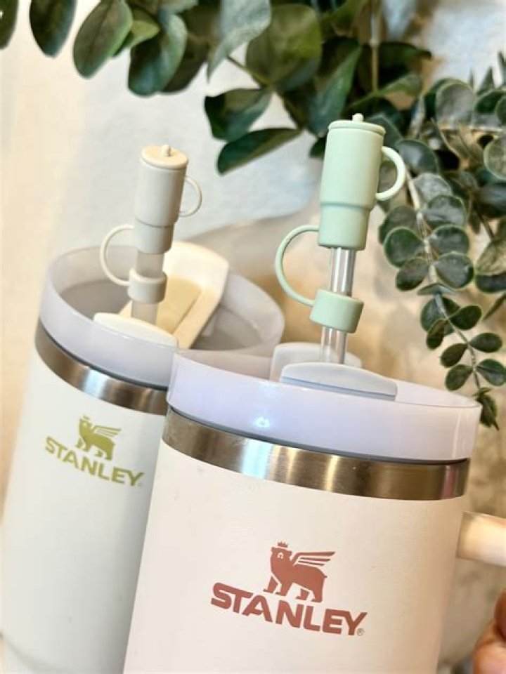 Best Stanley Cup Covers &amp; Protective Cases