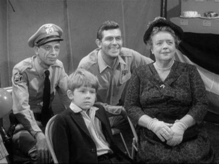Iconic Andy Griffith Show Cast: Stars & Roles