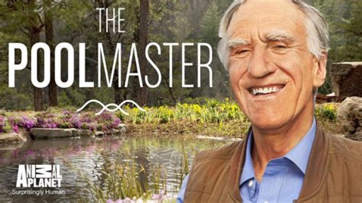 The Pool Master TV Show: A Dive into the Ultimate Pool Competition