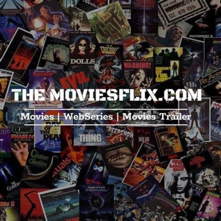 Themoviesflix.com 2024: Your Ultimate Guide to Free Movies and TV Shows