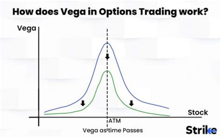 Discovering the World of Vega.in: Your Ultimate Guide