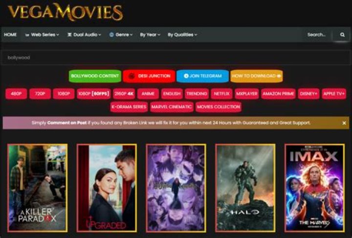 Is Vegamovies.in a Reliable Platform for Streaming Movies?