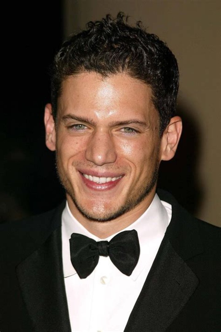 Wentworth Miller: The Journey of a Renowned Actor and Activist