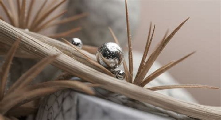 X Harsher Live: Exploring the Phenomenon and Its Impact